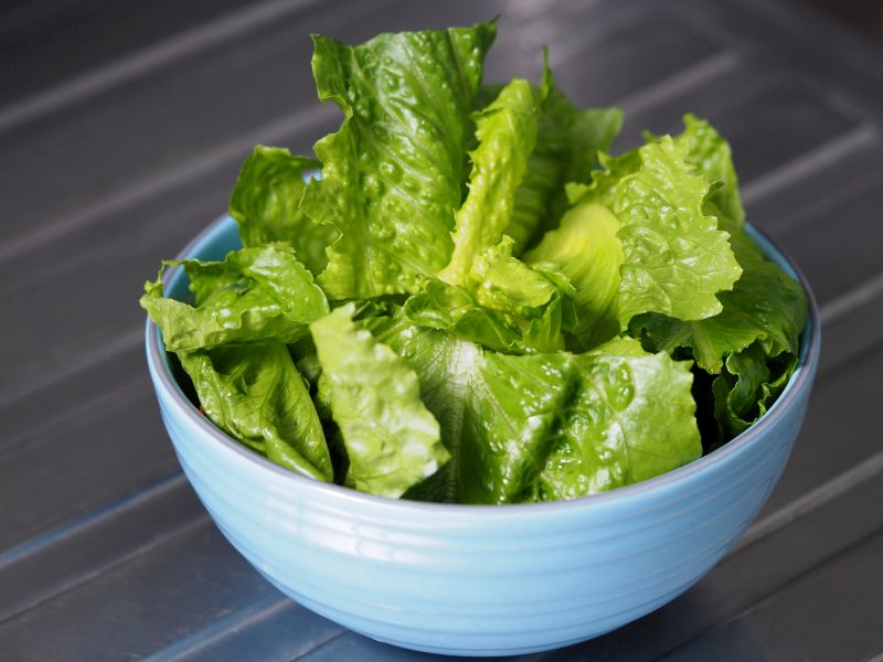 News Picture: California Farm Implicated in Outbreak of E. coli Tied to Romaine Lettuce