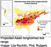 News Picture: New Disease-Bearing Tick Set to Spread Throughout United States