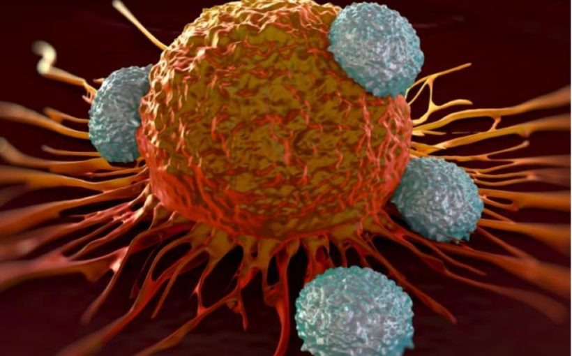 New approach to target a deadly form of prostate cancer