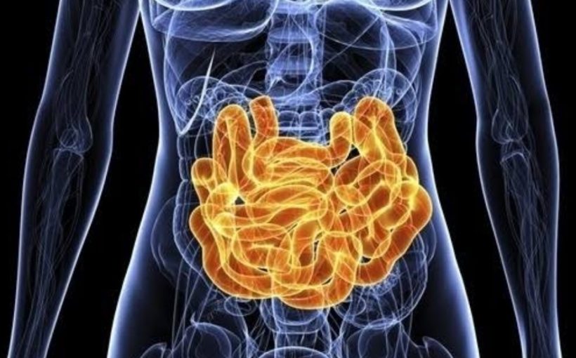 Guidance updated for managing C. difficile infection in adults