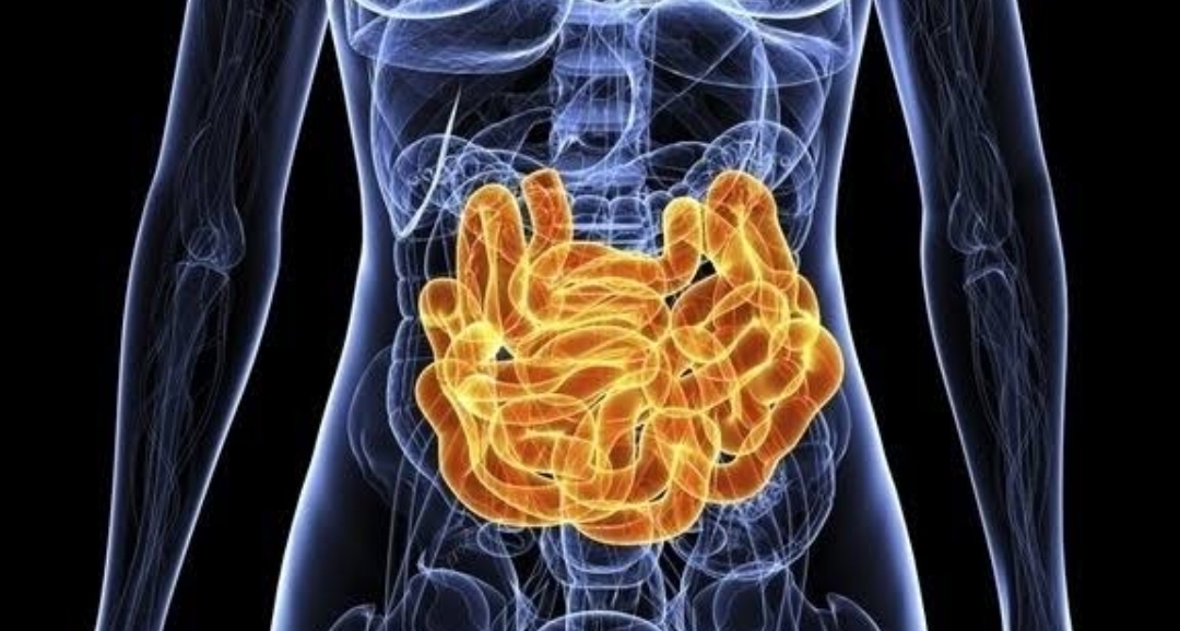 Does Intestinal Infection Cause Back Pain