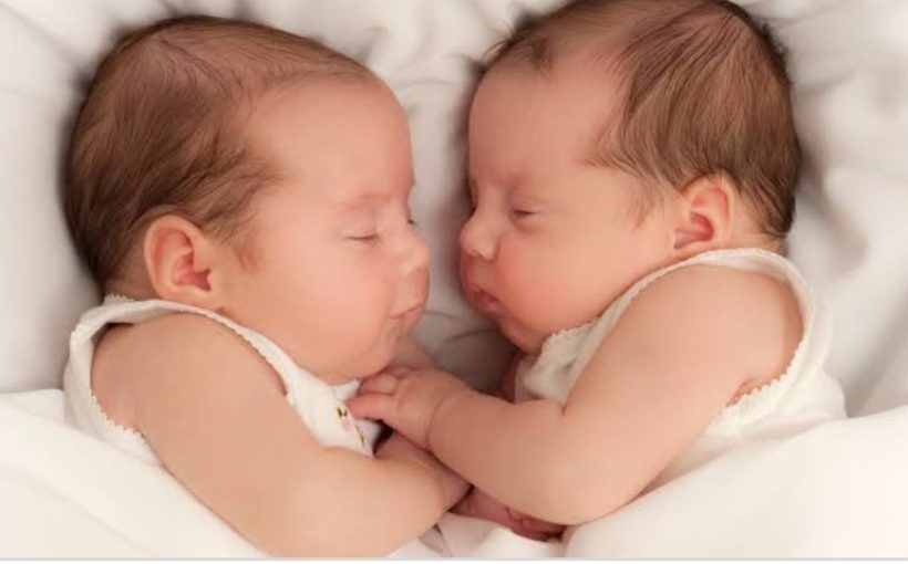 For twins, gesture and speech go hand-in-hand in language development