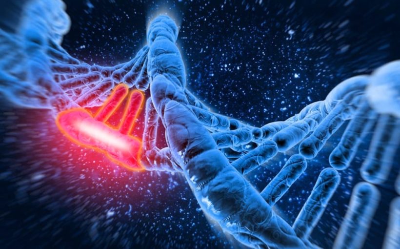 Scientists uncover a startling--and exploitable--coordination of gene expression in tumors
