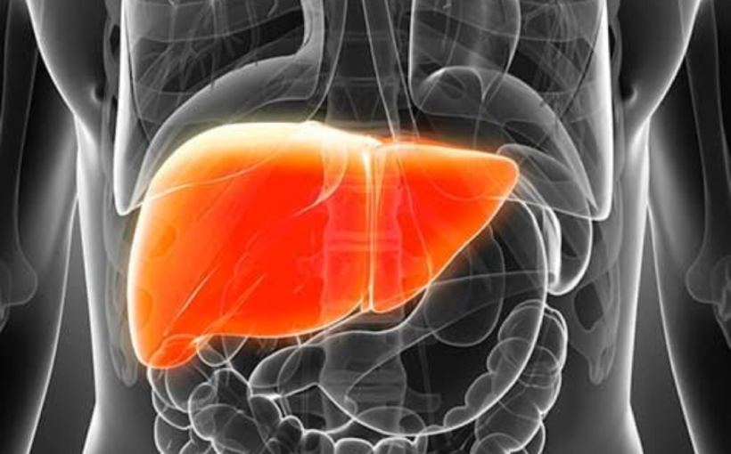 Pressure in the biliary system leads to tissue changes in the liver