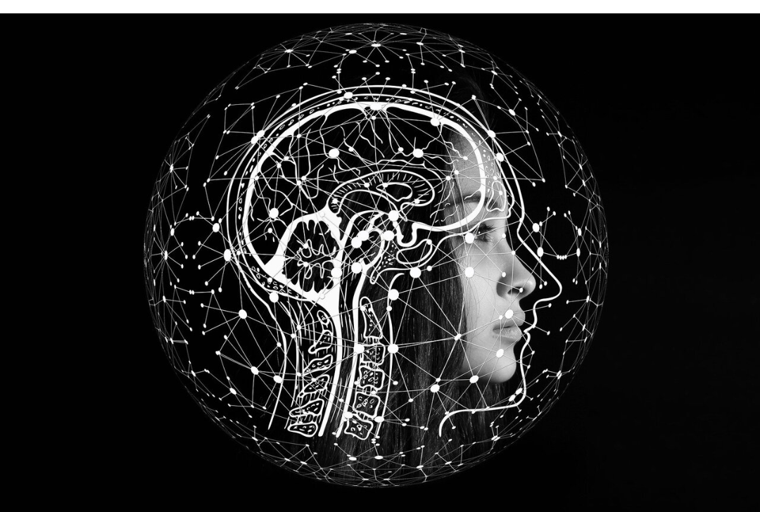 High resolution Probe May Help Unlock Secrets Of Brain Function And