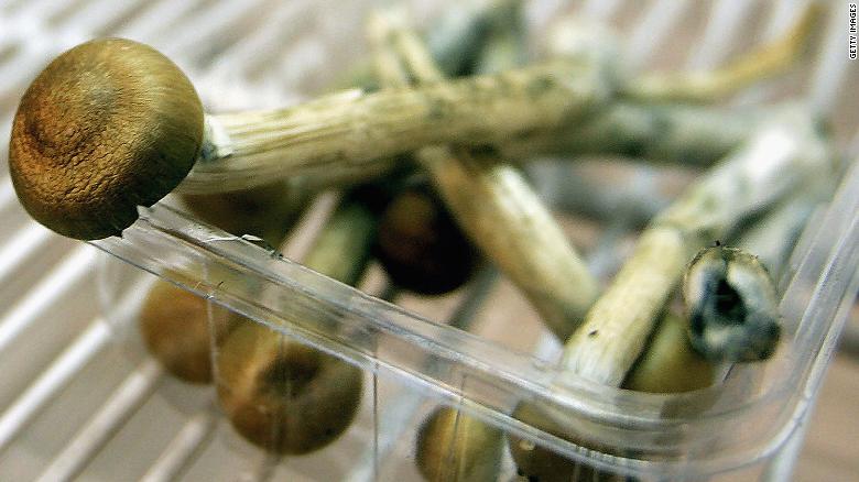 One dose of magic mushroom drug can ease anxiety and depression in cancer patients