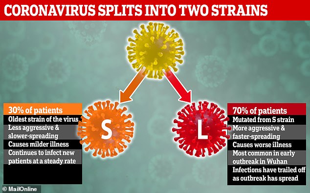 Two strains of coronavirus are spreading around the world