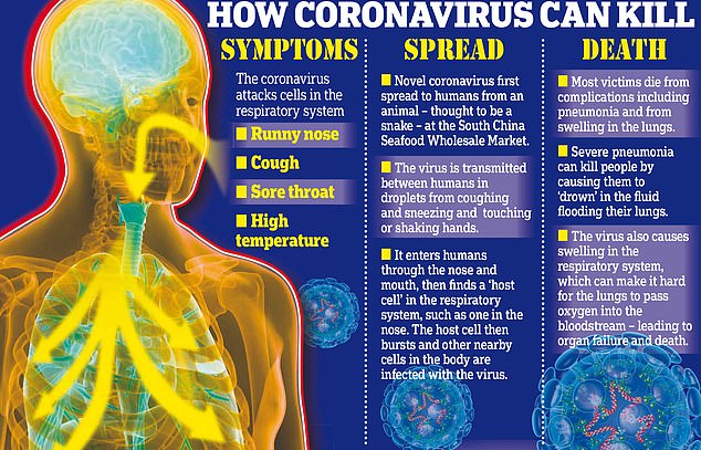 How does the coronavirus attack the human body?
