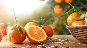 Can vitamin C beat coronavirus?