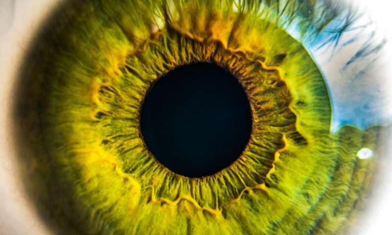 Could drops replace eye injections for retina disease?