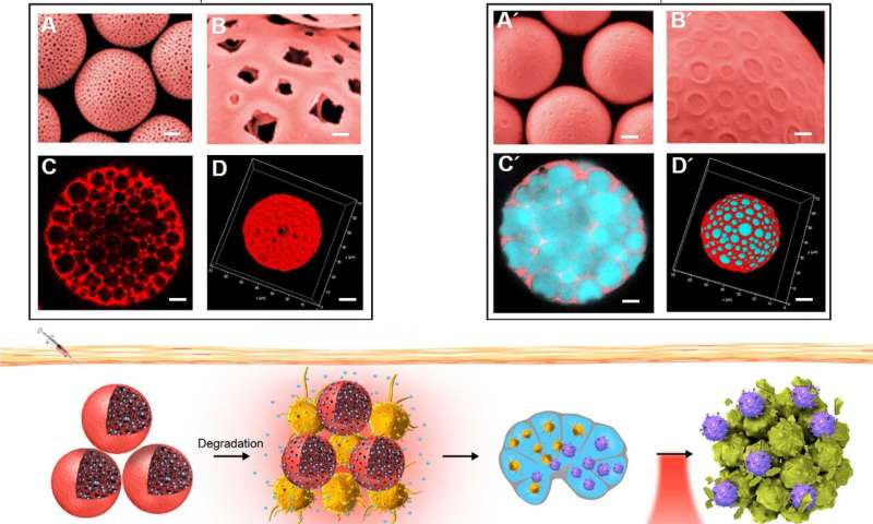 Researchers develop high-performance cancer vaccine using novel microcapsules