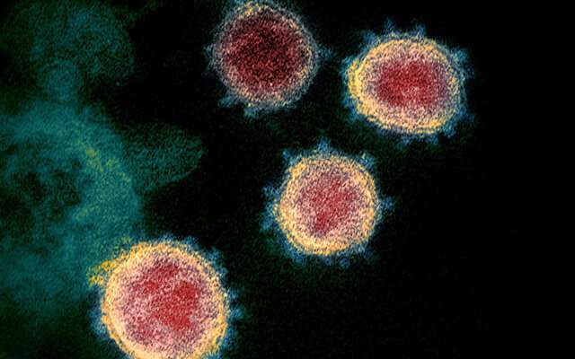 Vaccine-induced antibodies may be less effective against several new SARS-CoV-2 variants: study