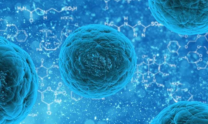 Researchers discover iron-targeting approaches to halt proliferation of cancer cells