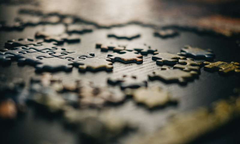 What jigsaw puzzles tell us about child development
