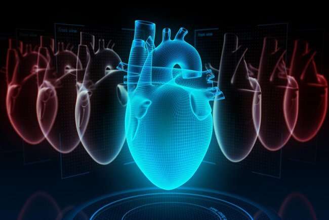 Understanding heart tests