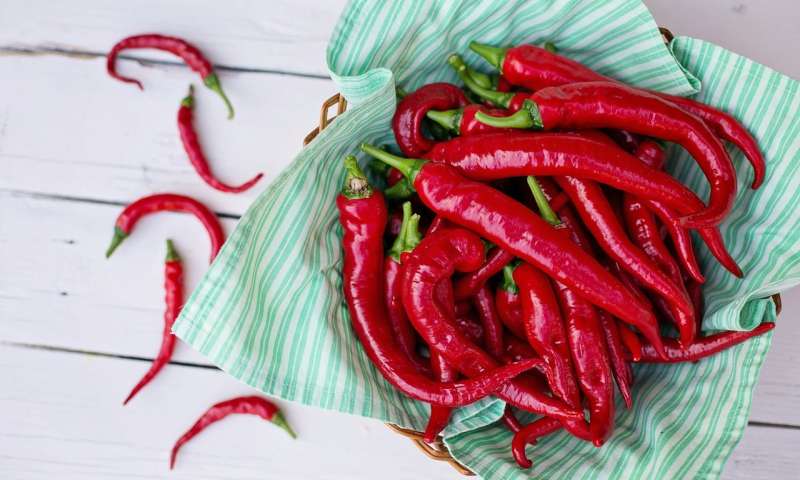 Today's hot topic: Should you let chile peppers spice up your meals?