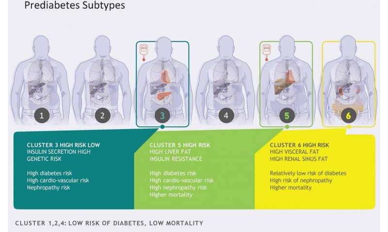 Prediabetes subtypes identified