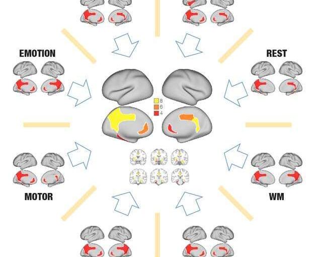 Revisiting the Global Workspace orchestrating the hierarchical organisation of the human brain