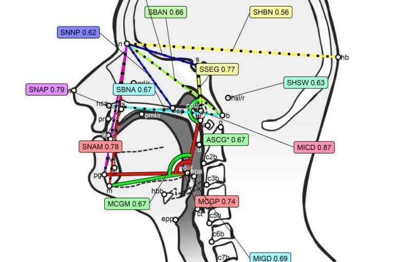 New insights on the genetic underpinnings of the vocal tract